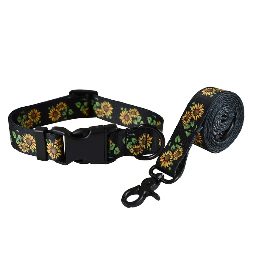 Dog walking training rope dog collar leash set pet cat straps for small medium dogs