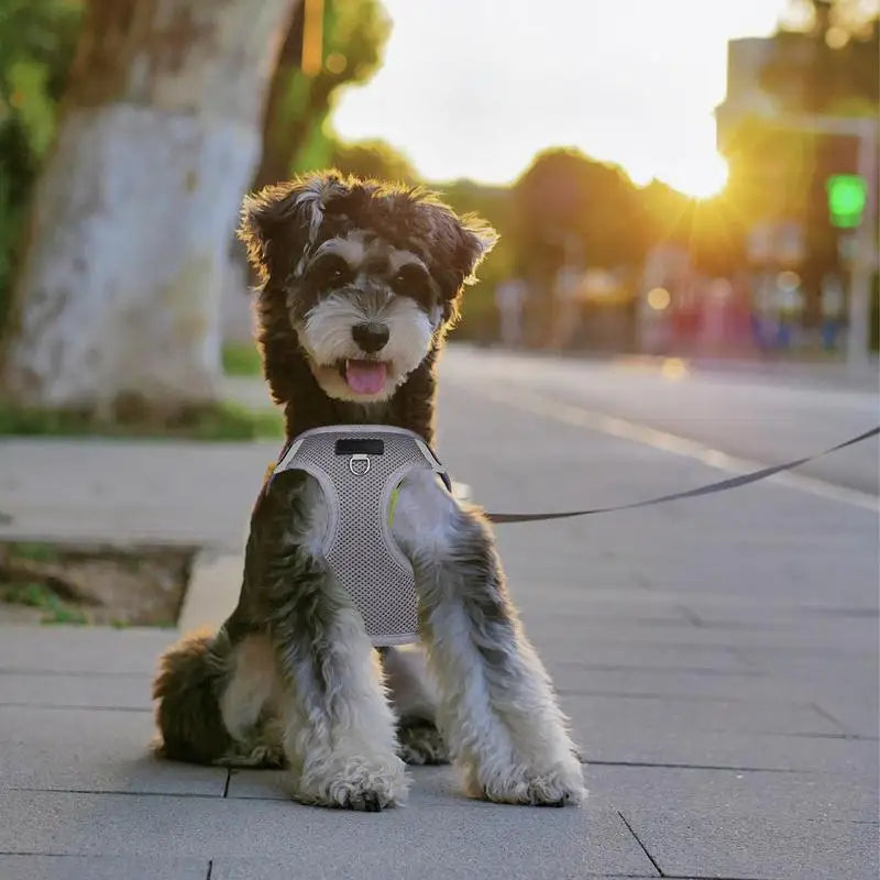 Pet Harness Reflective Adjustable Harness With Tracker Slot