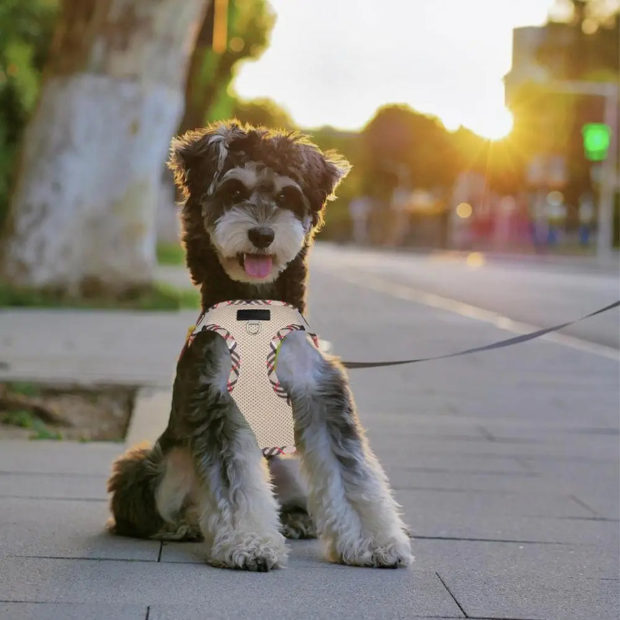 Pet Harness Reflective Adjustable Harness With Tracker Slot