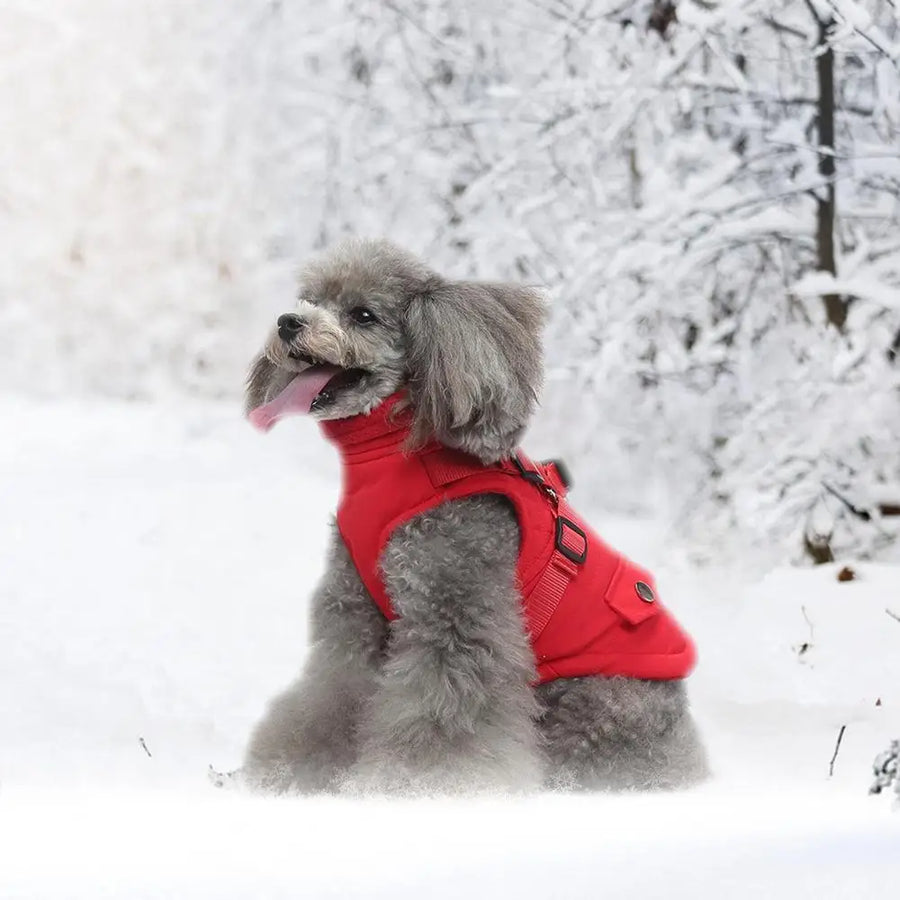 Dog Coat With Harness Waterproof Jackets With Harness