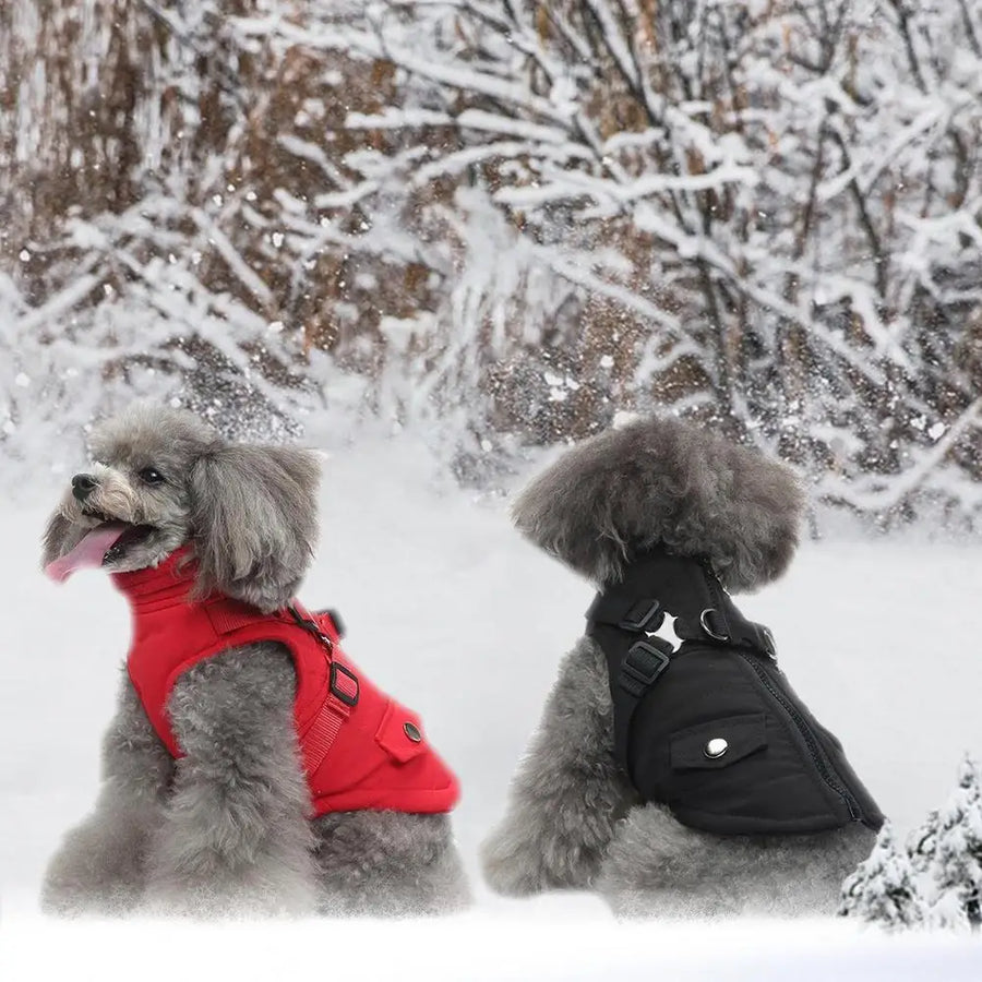 Dog Coat With Harness Waterproof Jackets With Harness