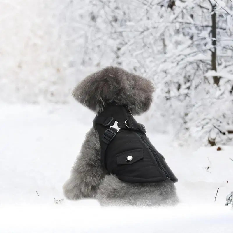 Dog Coat With Harness Waterproof Jackets With Harness