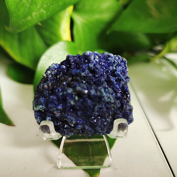 High quality Azurite & Malachite symbiotic mineral - Mariah´s Spiritual Treats