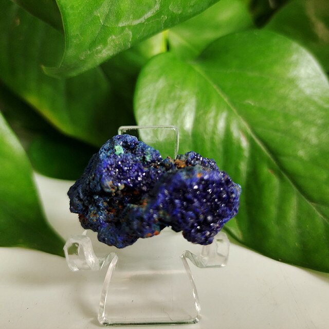 High quality Azurite & Malachite symbiotic mineral - Mariah´s Spiritual Treats