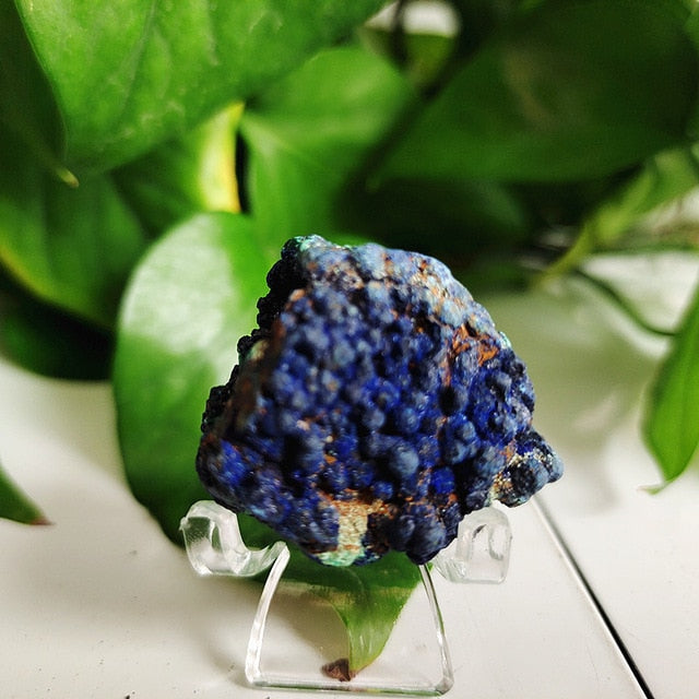 High quality Azurite & Malachite symbiotic mineral - Mariah´s Spiritual Treats