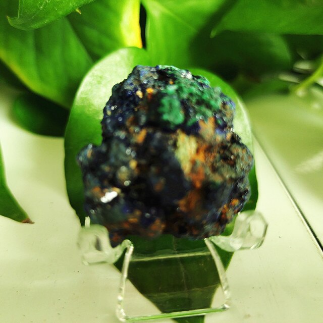 High quality Azurite & Malachite symbiotic mineral - Mariah´s Spiritual Treats