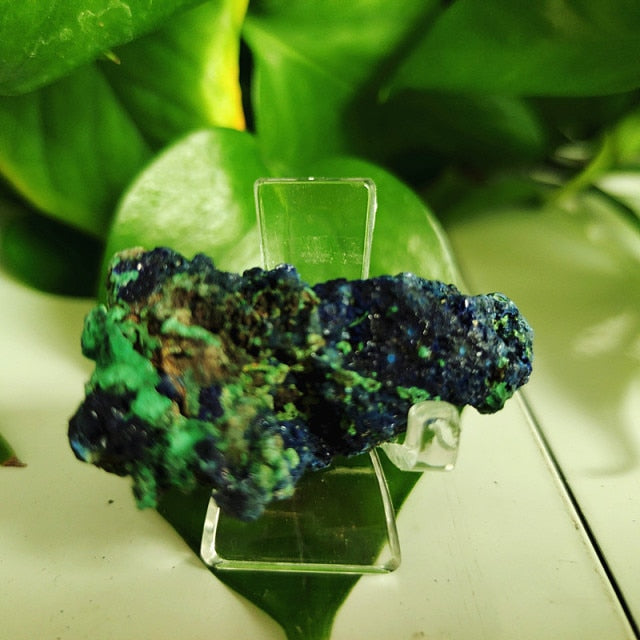 High quality Azurite & Malachite symbiotic mineral - Mariah´s Spiritual Treats