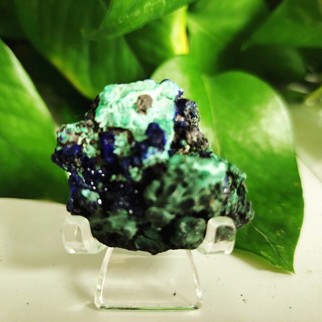 High quality Azurite & Malachite symbiotic mineral - Mariah´s Spiritual Treats